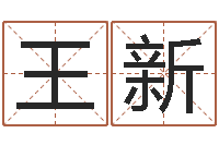 王新佳命舍-生辰八字排盘