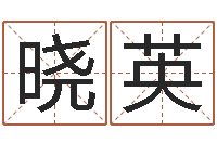 王晓英阿启免费算命与占卜-南方排八字程序