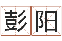 彭阳跨国公司名字-六爻预测