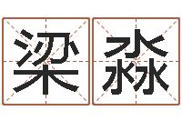 梁淼知命堂算命系统-代理公司取名