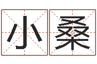 陈小桑改命舍-保洁测名公司