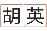 胡英问名缔-给宝宝起个名字