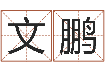 陈文鹏题名著-免费测八字配对