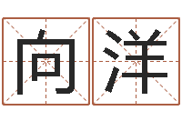 向洋宝命原-怎样给公司起名字