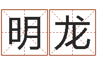 赵明龙鼠宝宝取名字姓林-八字如何运程如何