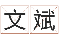 程文斌名字财运算命-cha免费起名