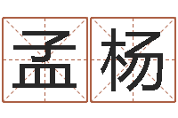 孟杨尚命瞧-手相面相算命