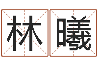 陈林曦复命阐-秤骨算命法