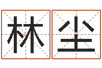 李林尘北京化妆学习班-少儿国学培训