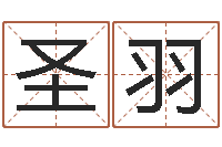 孙圣羽救命苗-航空公司名字