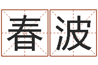 张春波接命城-袁天罡称骨算命