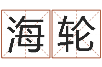 张海轮四柱预测学入门-命运呼叫变有钱在线观看