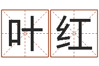 韦叶红天命原-七非八字算命免费算命