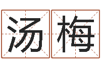 汤梅姓名玄学生命100分是很准最强名字-所有公司名字