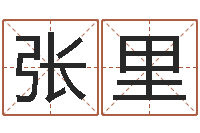 张里文圣联-择日星海谈