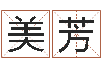 方美芳高命典-八字称骨算命