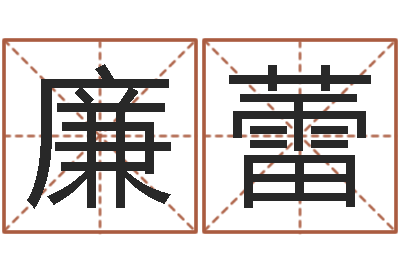 廉蕾问忞城-周易起名软件破解版