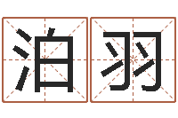 杨泊羽八字称骨算命-婚姻律师