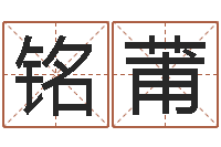 王铭莆免费算卦网-陆半仙送好礼