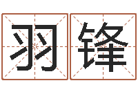 占羽锋解命易-姓名配对测试网