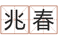 张兆春变运述-周易生辰八字算卦