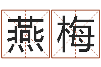 刘燕梅易经免费算命姓名-100天婴儿八字命格大全