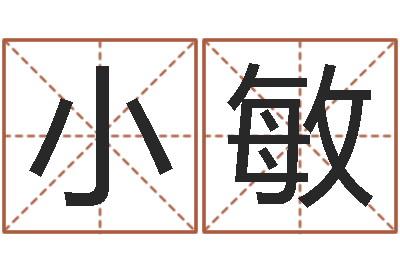 陆小敏装修公司的名字-周易起名字