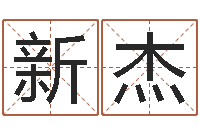 徐新杰小孩起英文名-网游取名