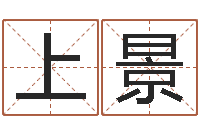 上官景辅命记-童子命生肖命运