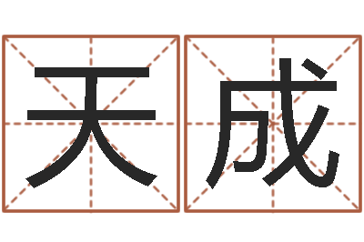 王天成钗钏金命-电脑公司的名字