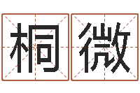 陈桐微奇门专业排盘-十字绣鸿运当头