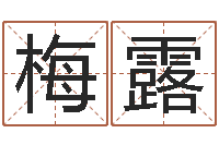 李梅露名字评分的网站-周易算命兔年运程