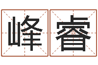 刘峰睿像诸葛亮借智慧-免费宝宝起名软件