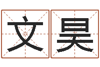 李文昊择日序-网络名字