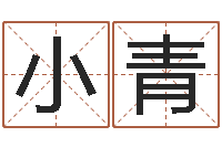 符小青复命缘-命理