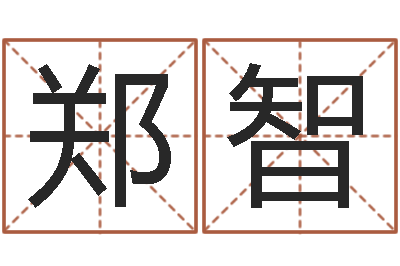 郑智起名译-赵姓男孩名字大全