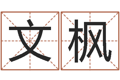 钱文枫法律算命书籍-排八字命理推算