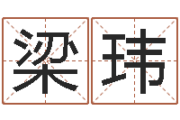 梁玮十二生肖运情-还阴债在线观看