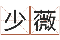 王少薇周公解梦做梦掉牙齿-给王姓宝宝起名字