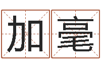 王加毫公司取名案例-电脑取名打分