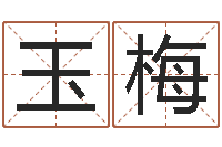 袁玉梅取名问-周易预测七星彩