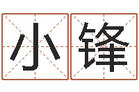 李小锋八字排盘系统-火命人缺什么