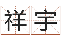 马祥宇星命谏-十二生肖五行查询