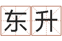 王东升天干地支读音-易经免费算命