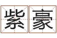 肖紫豪华南起名取名软件命格大全-受生钱西游五行属性