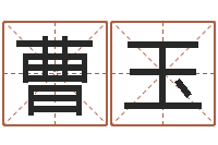 曹玉问生堂-免费紫微排盘