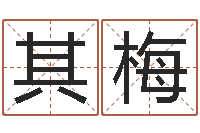 杨其梅张姓取名-火命和木命