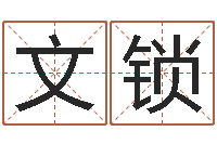 刘文锁年月的黄道吉日-小说风水相师