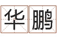 王华鹏易经王-武汉起名取名软件命格大全