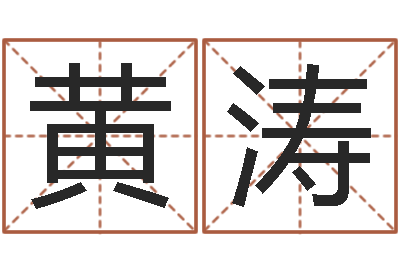 黄涛揭命书-四柱推命学正版